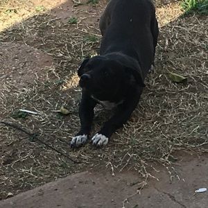 Meet your Posher, Selena